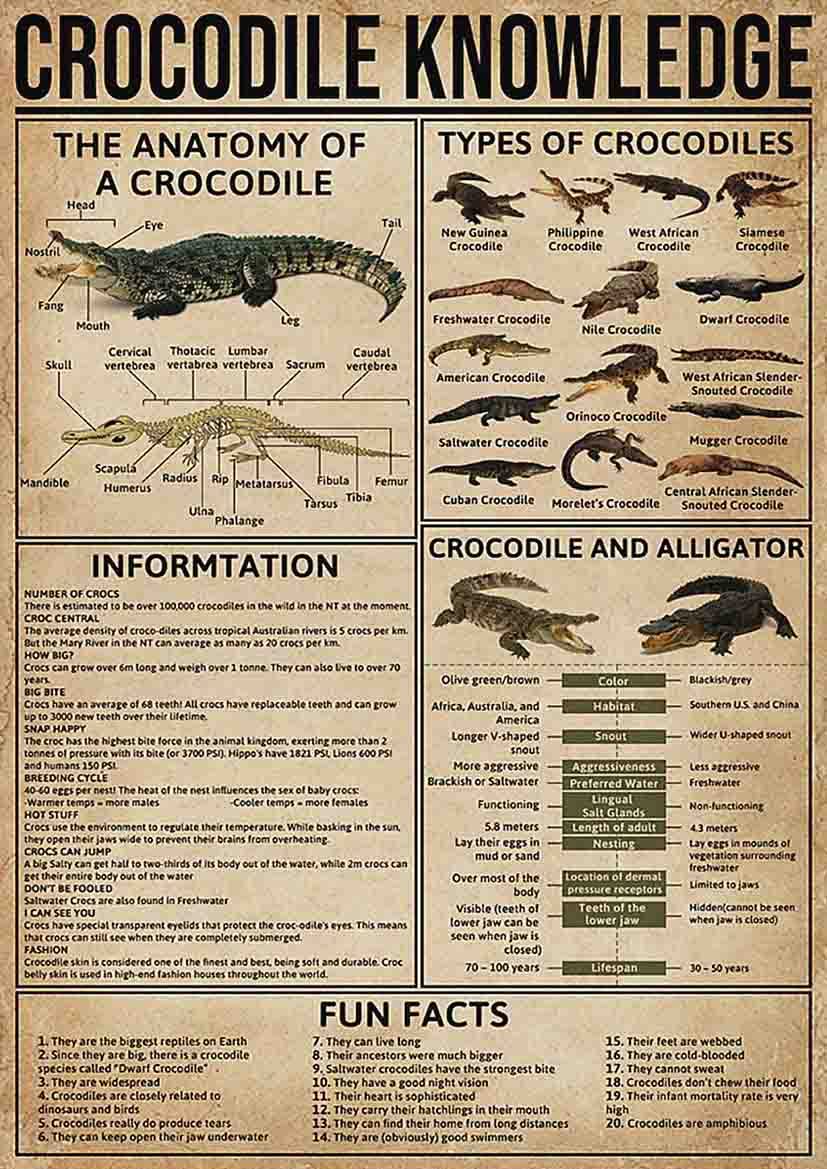 Photo 1 of  ARA STEP Vintage Knowledge Posters Animals Kitchen Wall Decor Prints UNFRAMED D (297 x 420 mm / 11.7 x 16.5 inches, Parrot Knowledge) 297 x 420 mm / 11.7 x 16.5 inches Parrot Knowledge, Crocodile Knowledge
