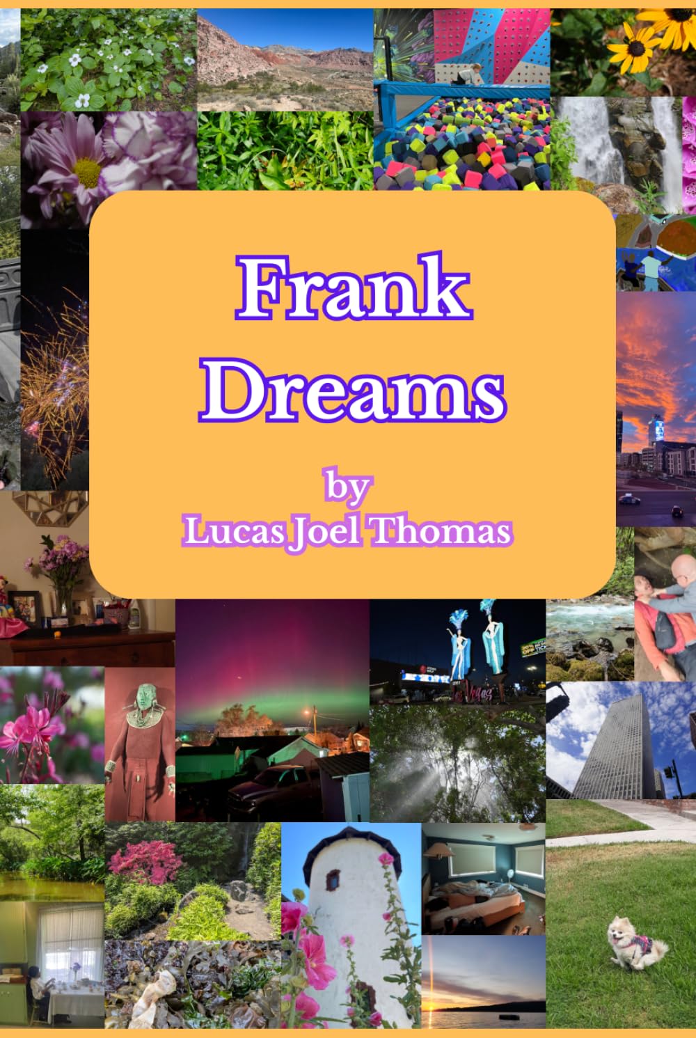 Frank Dreams