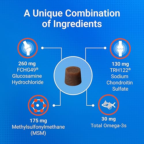 Miniatura 5 de Galletas masticables blandas Health Plus Omega-3s MSM