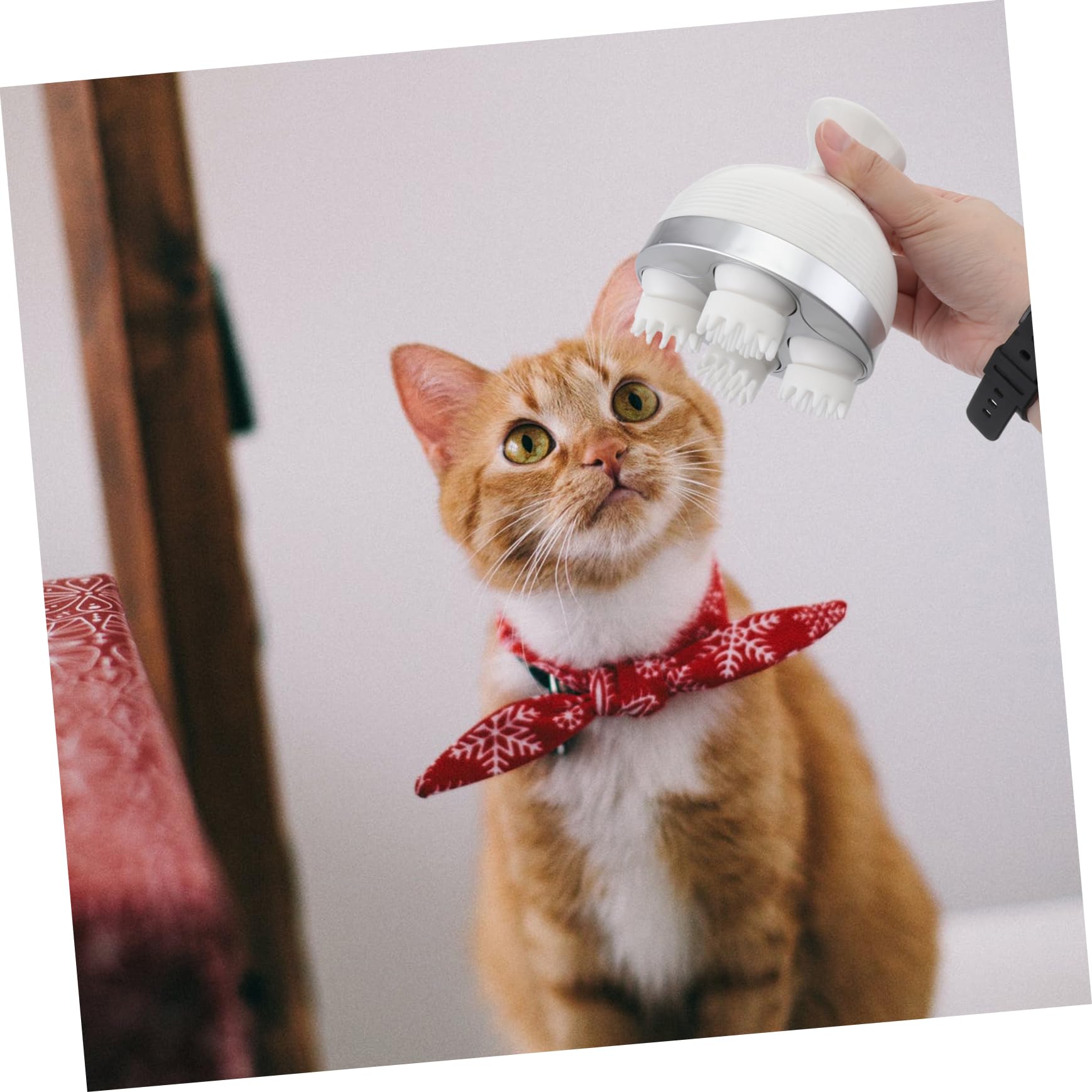 Toddmomy Massaggiatore Elettrico Per Animali Domestici Massaggio Profondo e Relax Per Gatti e Cani Ricaricabile Usb Design Omnidirezionale Giocattolo Divertente Accessorio Per Benessere