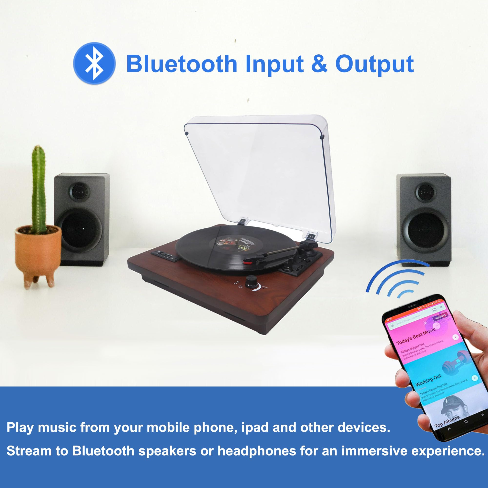 ミュージック LIDO Karpiowe Graty - internetowy sklep wędkarski