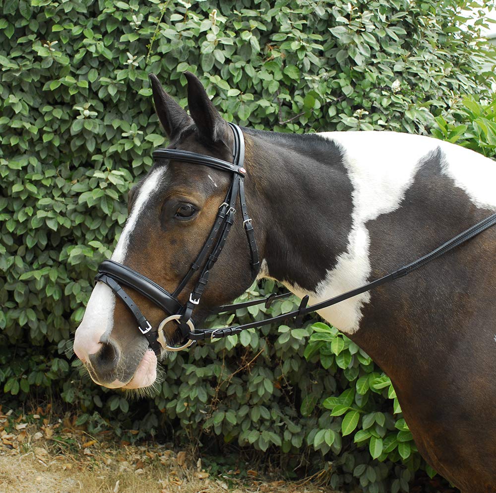 Windsor Leather Comfort Horse Pony Snaffle Bridle, Flash Noseband Pony, Black