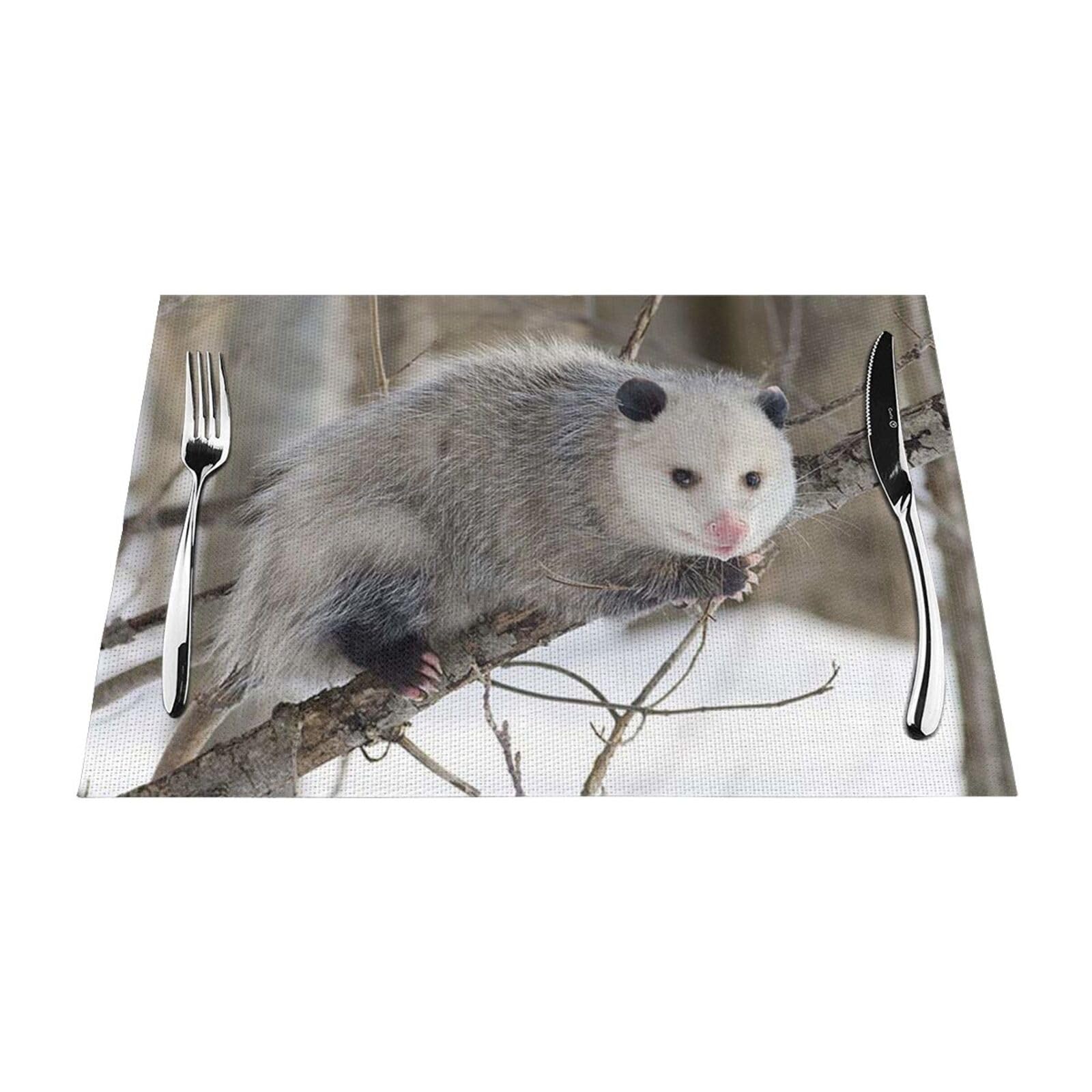 PVC Placemat Set of 6 PCS, 45x30 CM, Opossum In Snow Printed Non-Slip Heat Resistant Place Mats for Kitchen Dining Table Indoor Outdoor