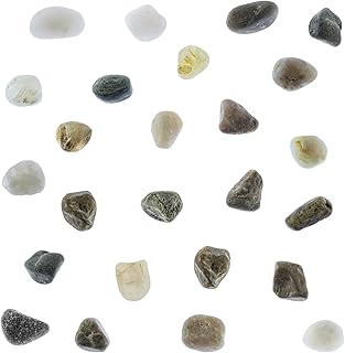 Super Z Outlet Tiny Miniature Fairy Garden Beach Rock Pebbles Collection...