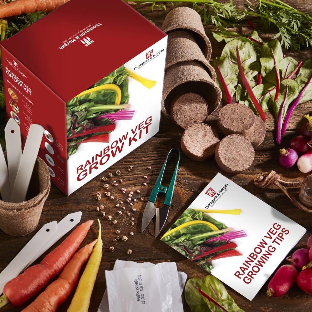 Rainbow Vegetable Growing Kit – Includes Carrots, Radishes, Beetroot, Swiss Chard & Stripy Tomatoes – Easy-to-Grow - 3X Grow Kits by Thompson and Morgan