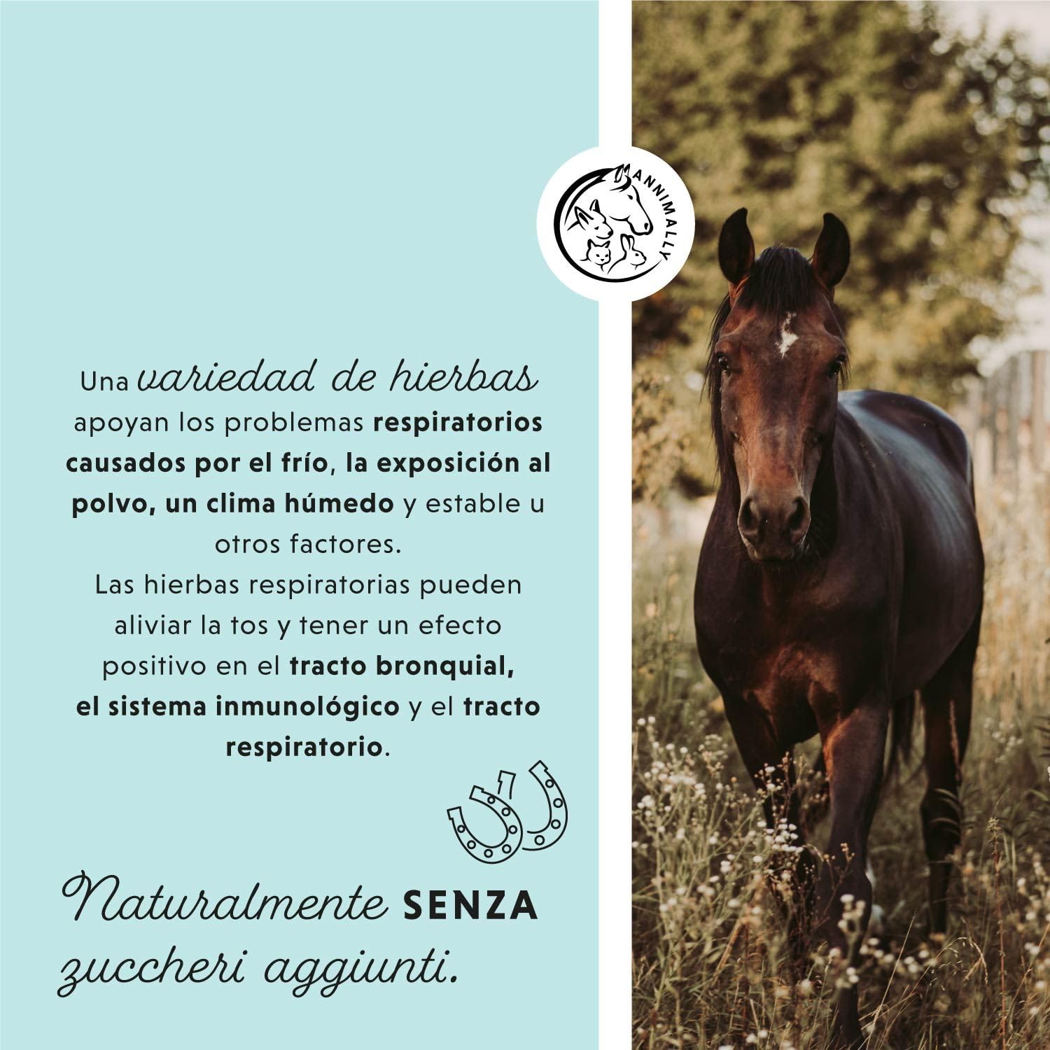 Annimally Jarabe para la Tos para Caballos 1000ml - Jarabe bronquial para Caballos contra la Tos y para calmar Las vías respiratorias - Jarabe para la Garganta - Cosas para Caballos