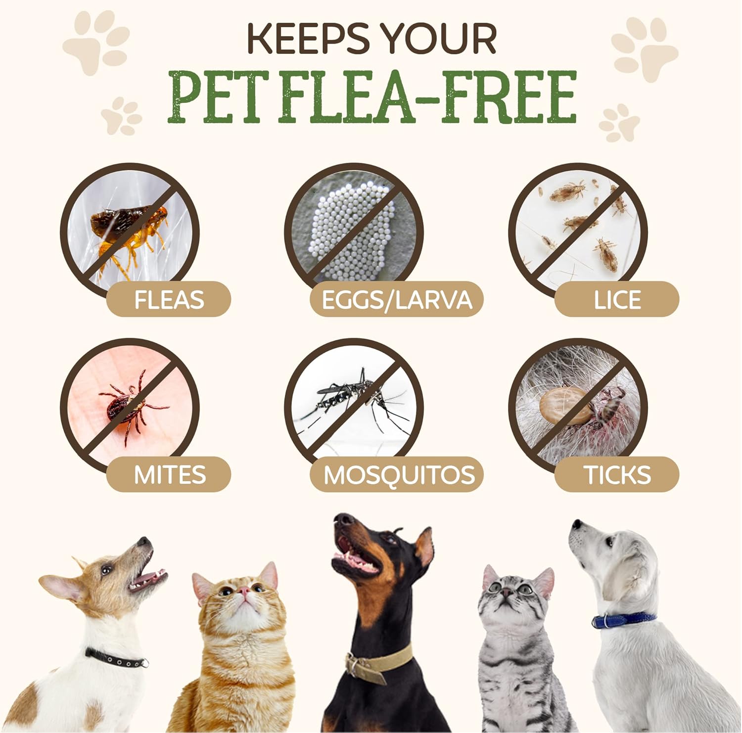 Flea Treatment for Dogs and Cats Works on Flea & Tick All Natural