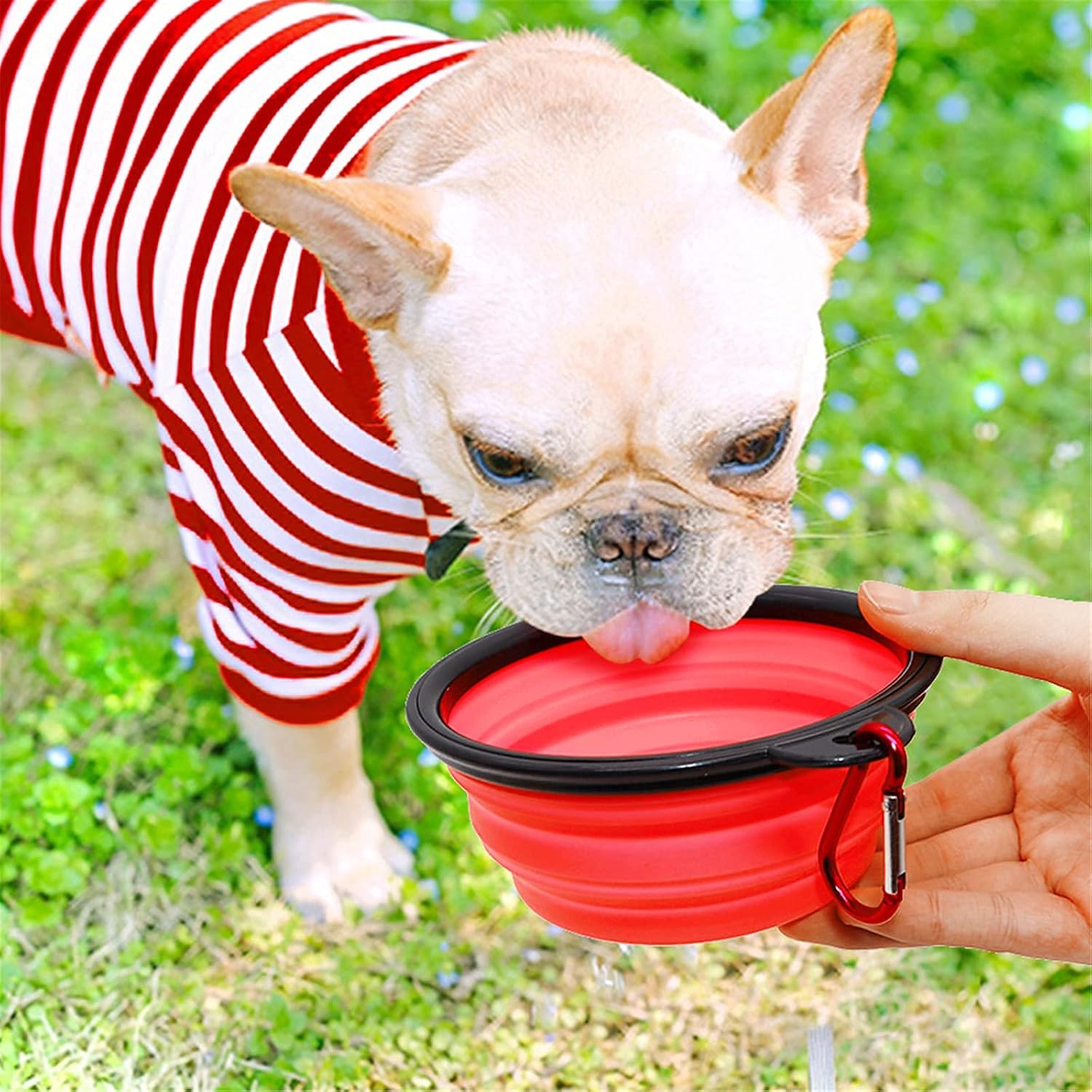 Collapsible Dog Bowl,Collapsible Dog Water Bowls for Cats Dogs Portable Pet Feeding Watering Dish,Portable Dog Water Food Bowl with Carabiner (Small(350ML) - Image 5