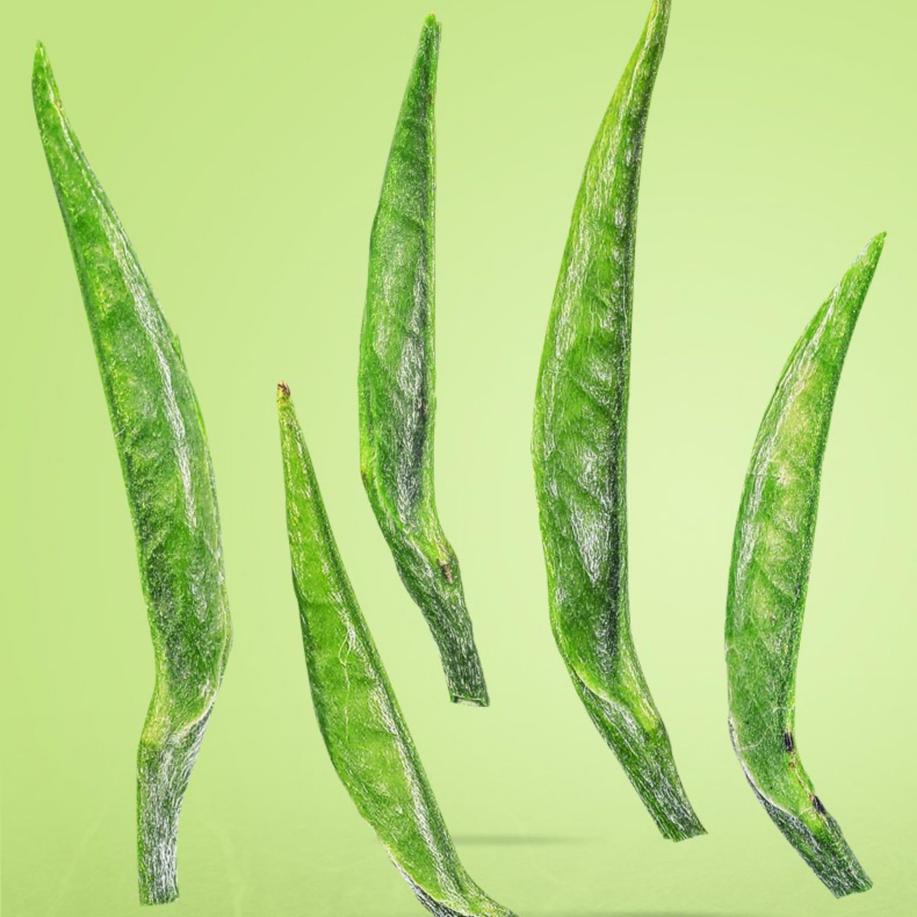Tè Verde A Foglia Sciolta Premium "Queshe" 250g / 8,82oz Tè Di Alta Montagna, Tè Cinese, Raccolto in Pre-Chingming