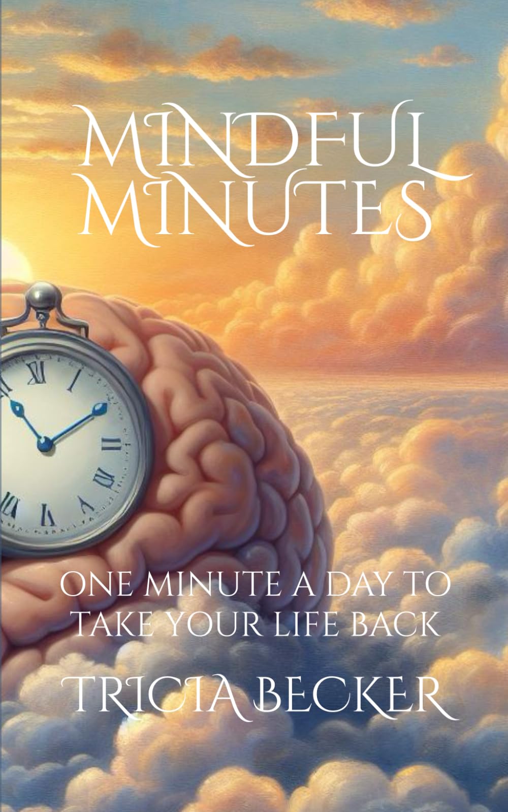 Mindful Minutes: One Minute a Day to Take Your Life Back