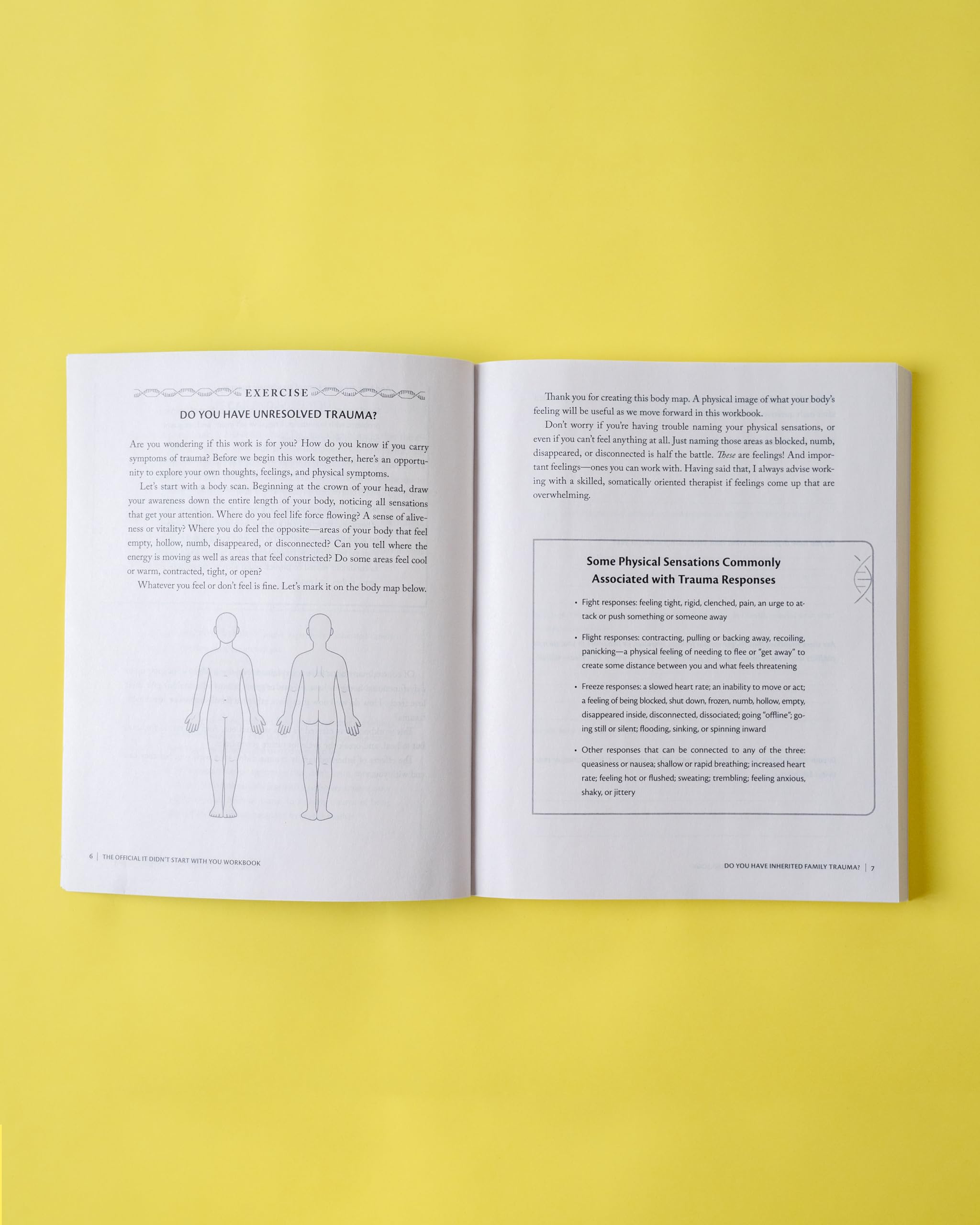 The Official It Didn't Start with You Workbook: Practical Exercises to Break the Cycle of Inherited Family Trauma