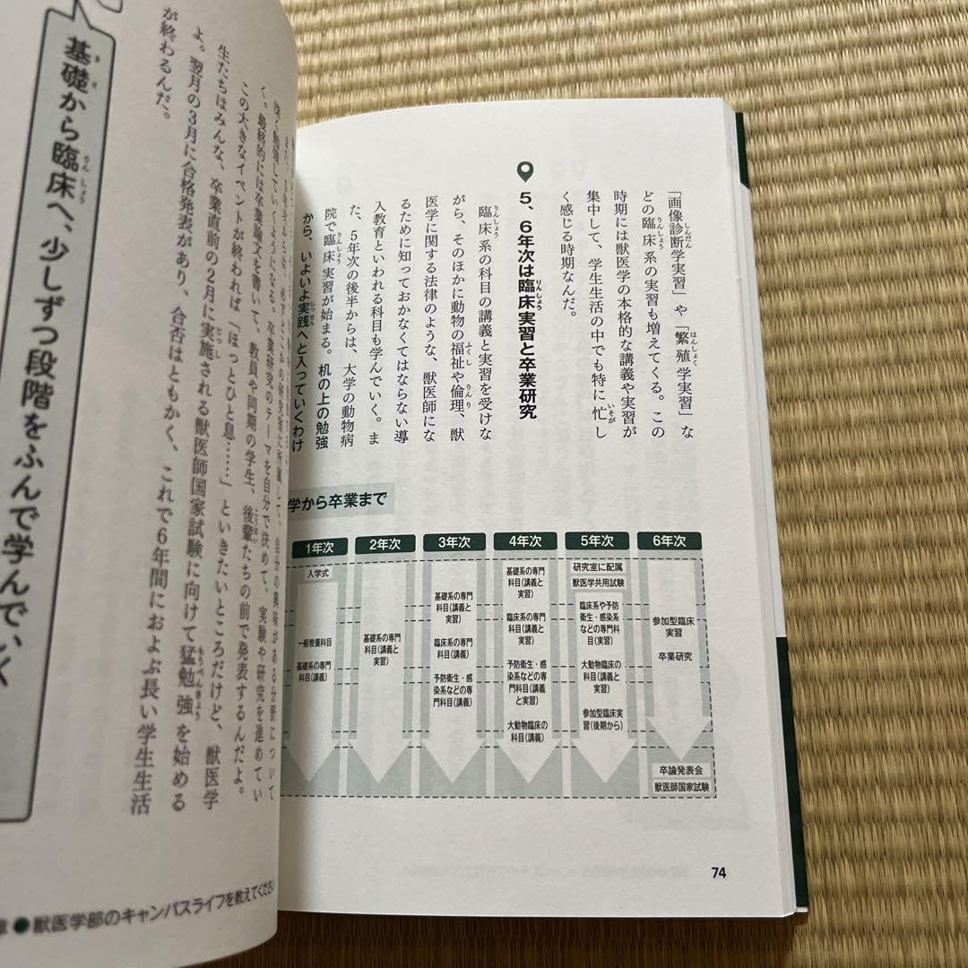 Amazon.co.jp: 獣医学部 中高生のための学部選びガイド : おもちゃ