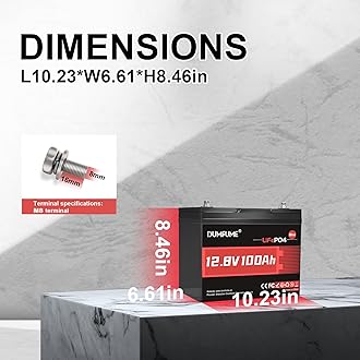 2 pack 12V 100Ah Mini LiFePO4 Lithium Battery,100A BMS 1280Wh BCI Group 24 Lithium Iron Phosphate Battery 6000+ Cycles Perfect for RV, Solar, Home Energy Storage