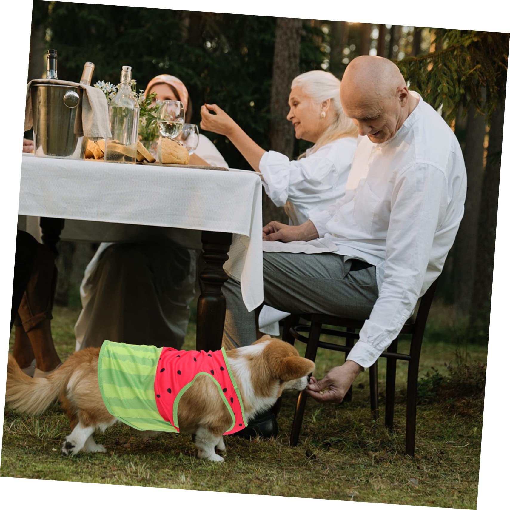 Gilet Rafraîchissant pour Chien Respirant Taille L en Soie