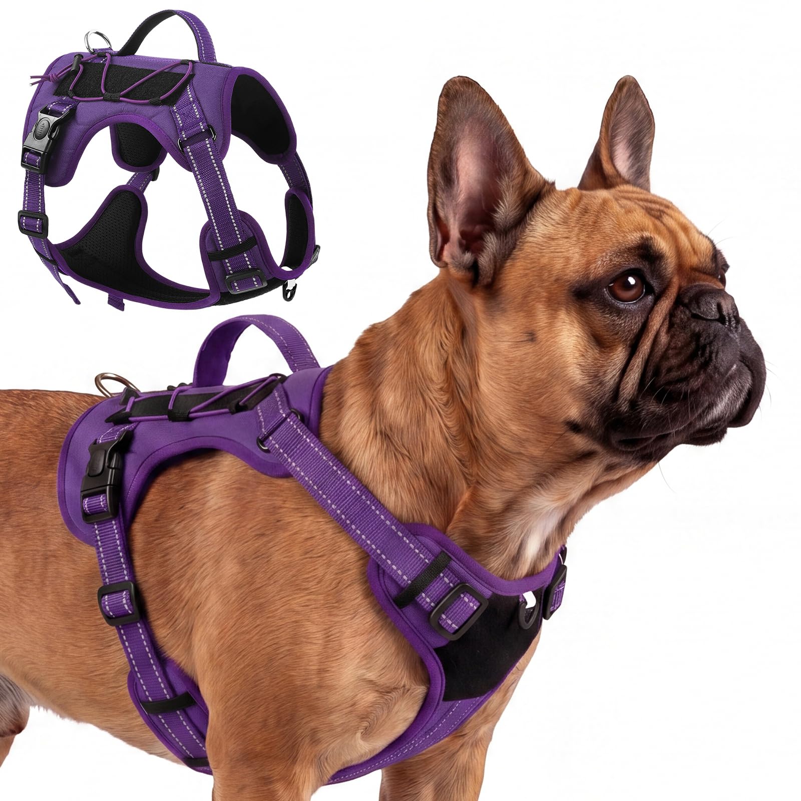 Olcyren Dog Harness for Small Medium Large Dogs, Adjustable Reflective Soft Padded Dog Harness with Easy Control Handle, No-Choke Tactical Breathable Mesh Pet Vest Harness for Walking (Purple, S)