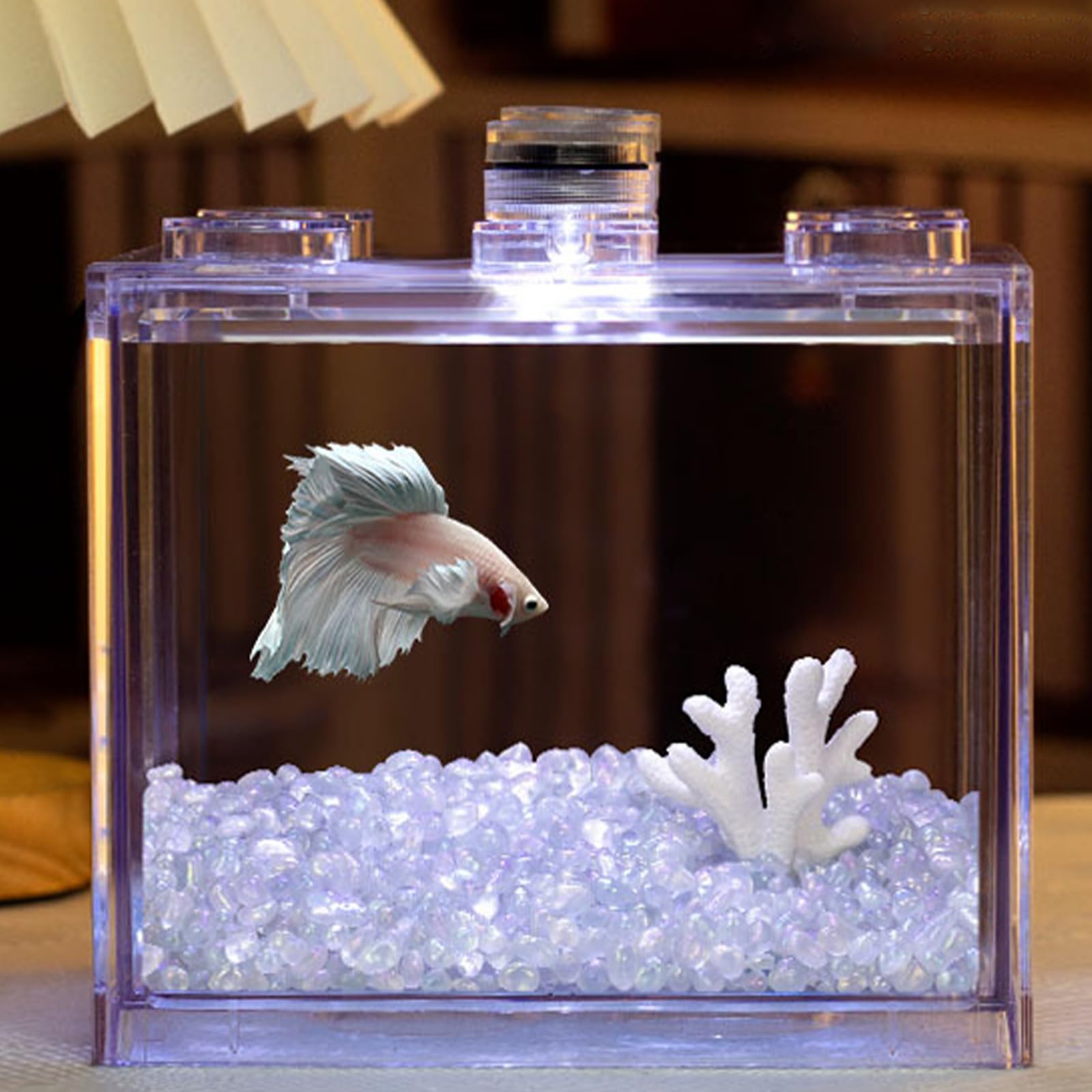 Amazon | アクリルメダカ水槽 金魚鉢 ミニアクアリウム LED