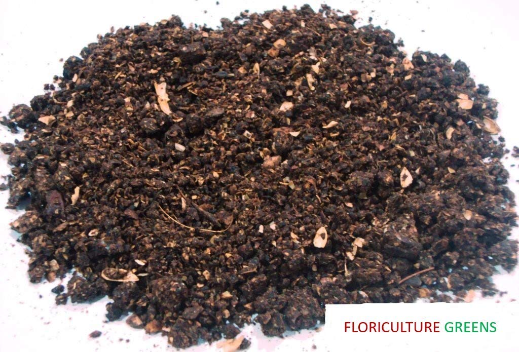 Floriculture Greens Organic Neem Khali Cake Powder Special Pack Of 800 Grms for Gardening Soil Making-image-34