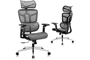 ZLchair Ergonomic Office Chair--Find Comfort and Productivity!