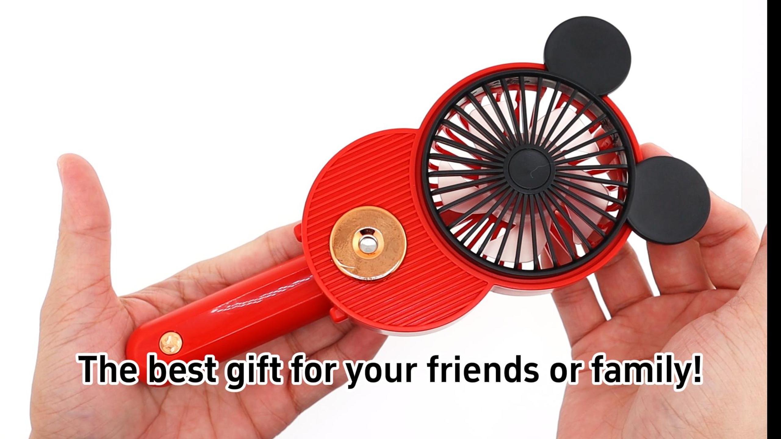 Amazon.com: LACOVIA Cute Mouse Misting Mini Fan, Handheld Portable