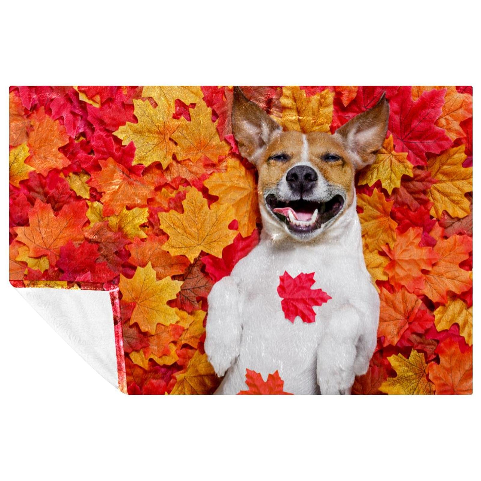 Couverture chaude motif chien pour pique-nique, camping et moments cocooning
