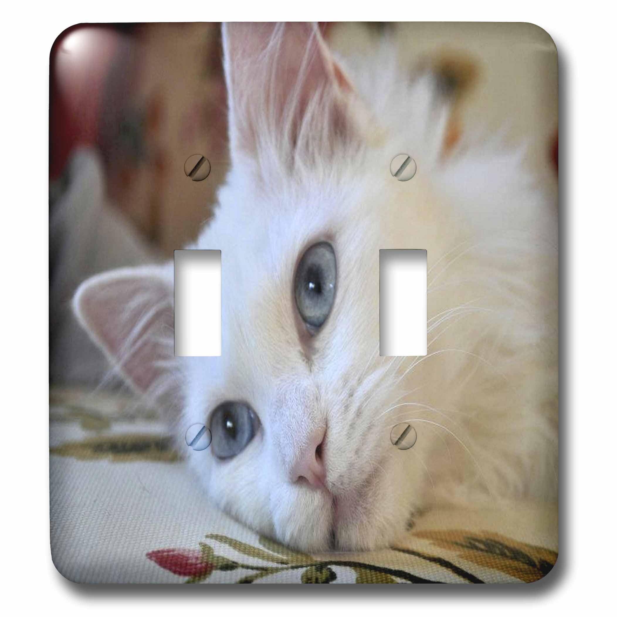 Interrupteur à bascule pour chat pour décorer une chambre d'enfant