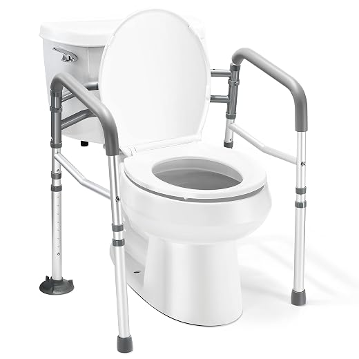 Medical King Toilet Rail