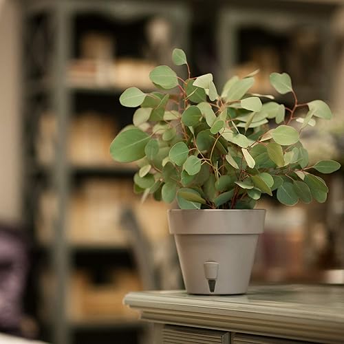 Miniatura 5 de DECOPOTS - Maceta de riego automático - 9.2 pulgadas de diámetro - Interior y exterior con riego inferior e indicador de nivel de agua (9.2