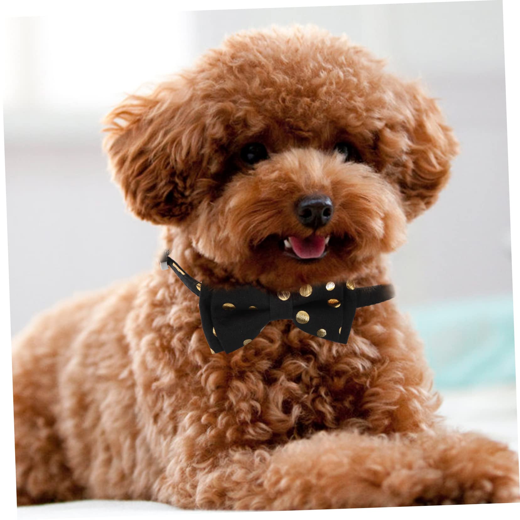 minkissy 4stücke Liebes Katzenhalsband Mit Abnehmbarem Schleifen-Design Waschbar Und Sicher Für Katzen Für Partys Und Festliche Anlässe Mit Glöckchen Für Zusätzlichen Spaß