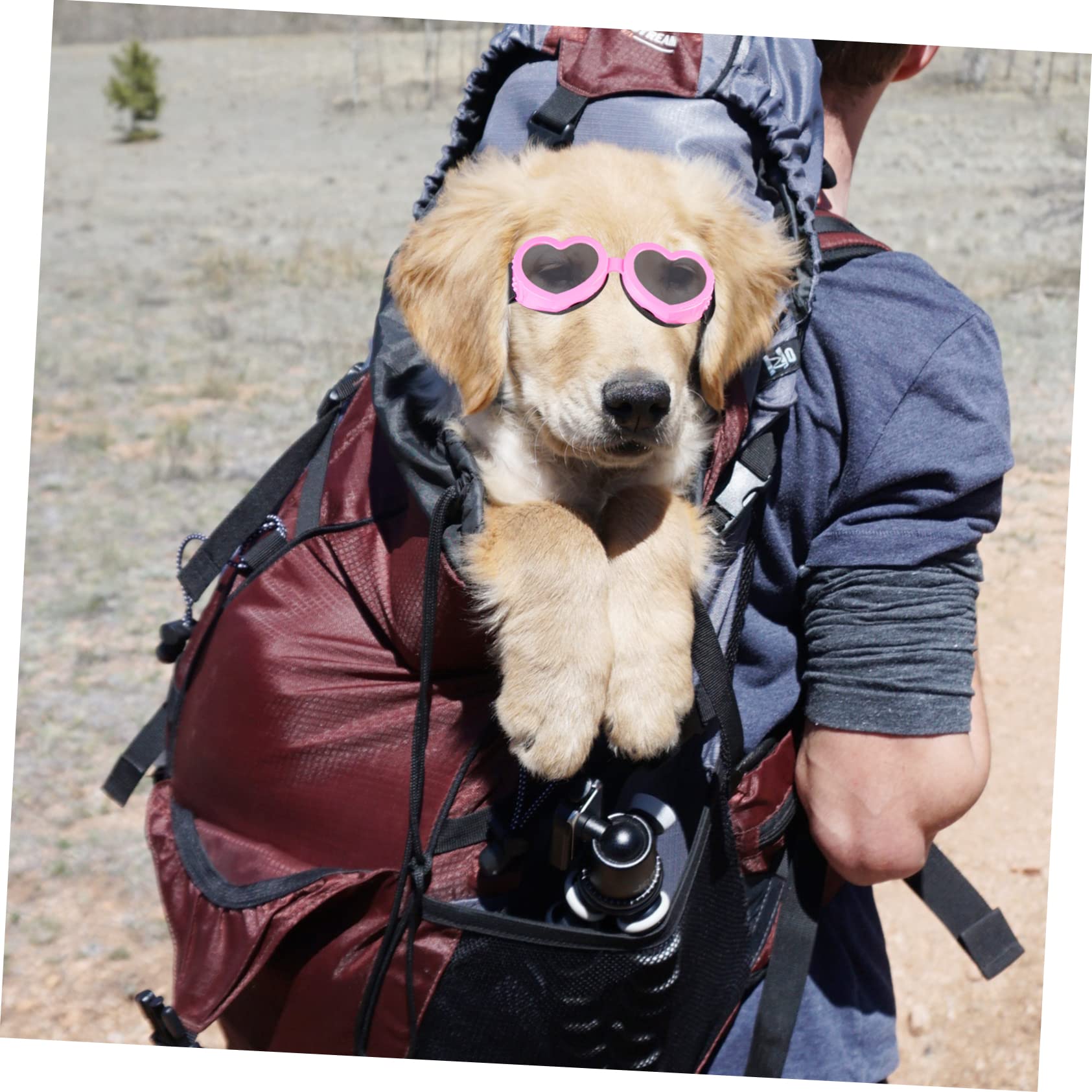 BESPORTBLE 4 Pz Occhiali Per Animali Domestici Pieghevole Cagnolino Occhiali Protettivi Da Sole Pieghevoli Per Cani a Cuore Da Sole Uv Pc Impermeabile Rosa
