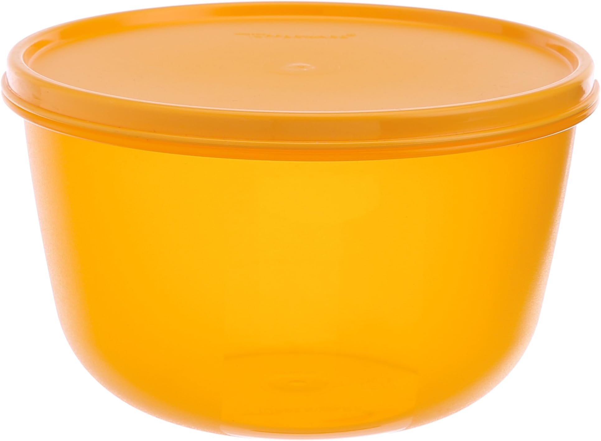 Plastic 2L Bowl For Idly Dosa Batter, Snacks, Fruits, Cookies, Curd, Blue