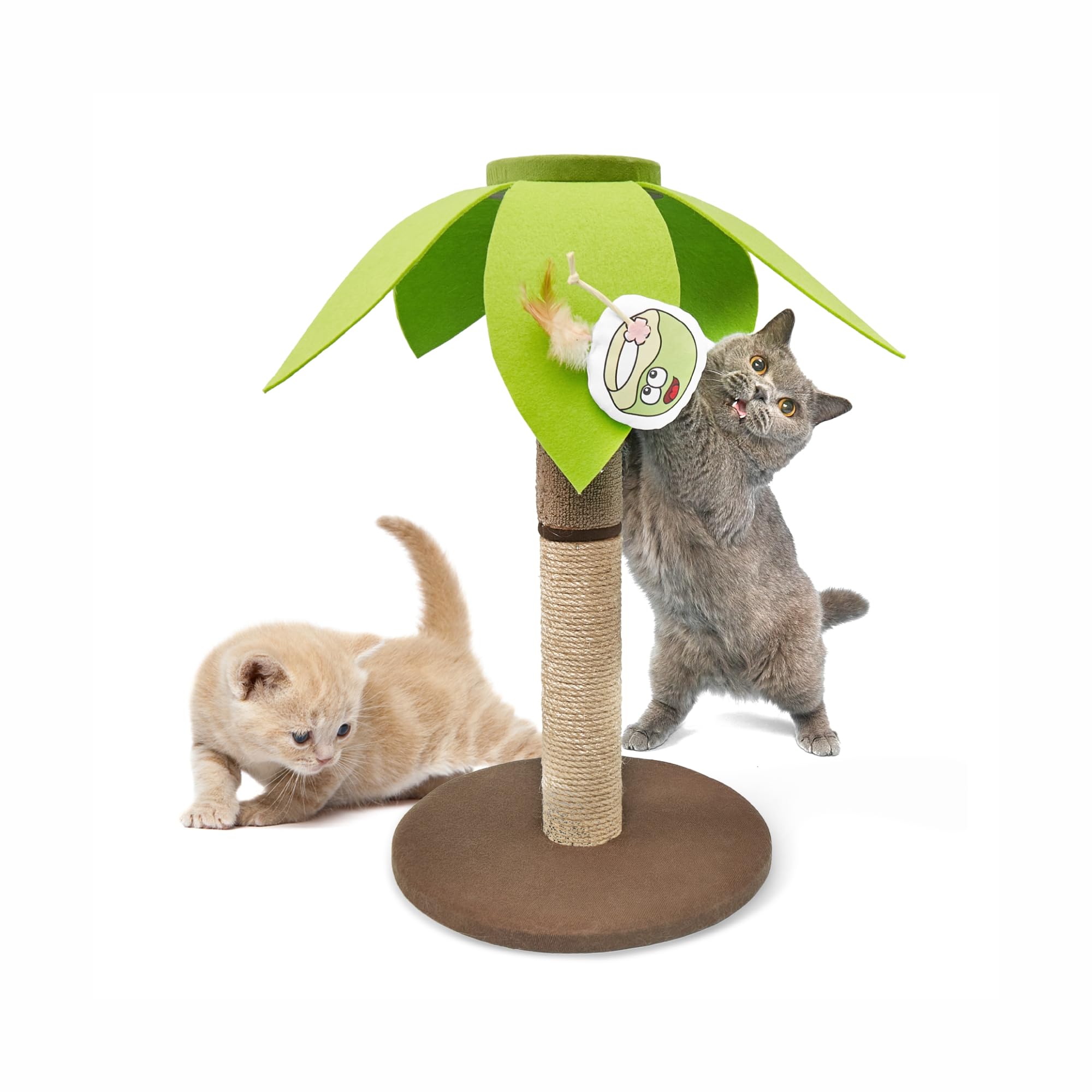 BarkButler x Fofos Coconut Tree Cat Scratcher, Green|Natural Sisal Rope| Catnip Feather Toy|Easy to Assemble|for All Cat & Kitten Breeds (B0CD2BWQWQ) Amazon Price History, Amazon Price Tracker