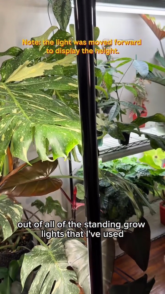 Amazon.com : SANSI T10 Standing Grow Lights for Indoor Plants, 80W