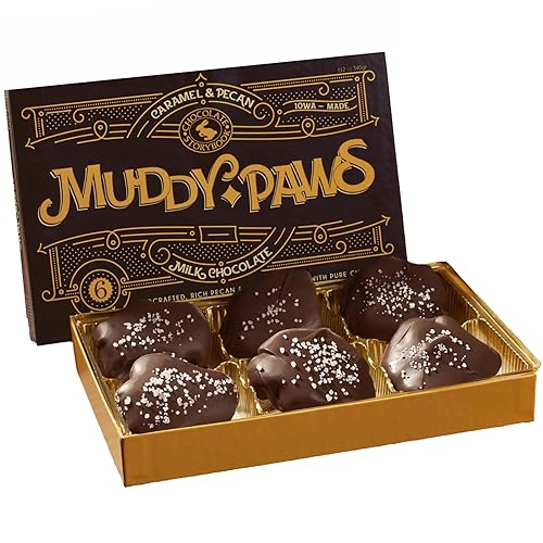 Caja de regalo de tortugas pecanas saladas de chocolate negro