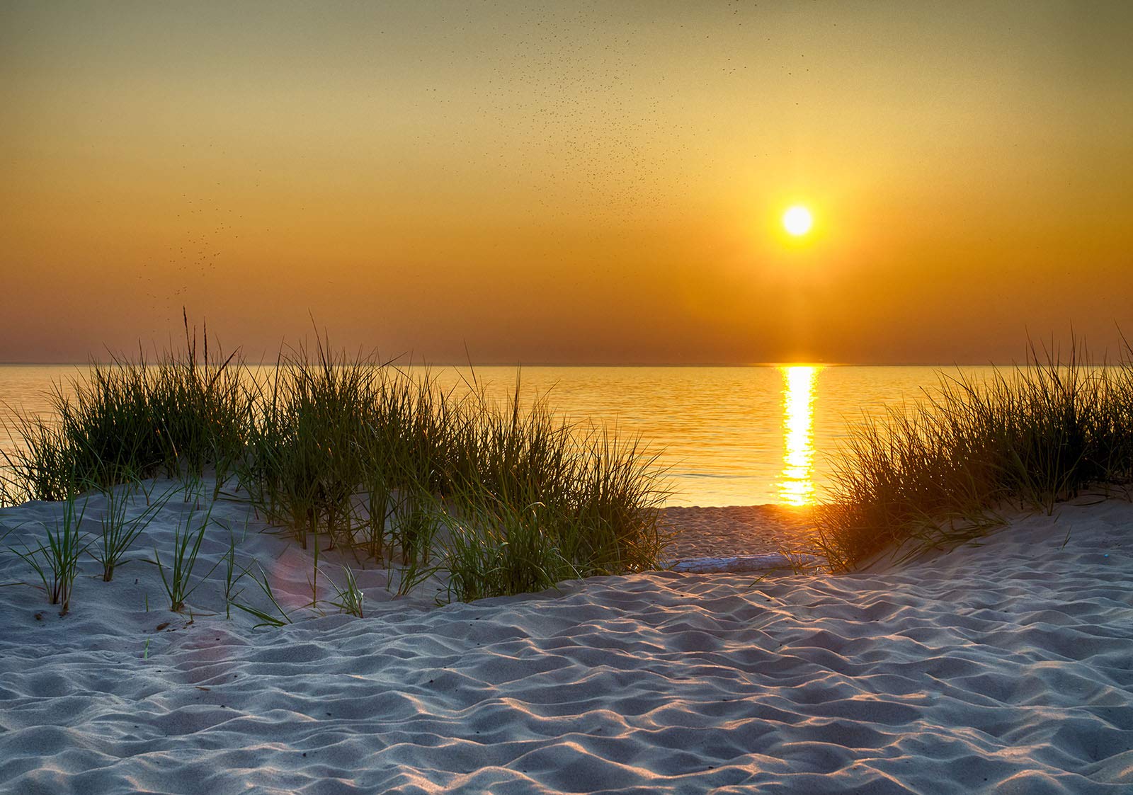 ForWall Vlies Fototapete Sonnenuntergang Strand Meer Nordsee 368x254 cm | Hochwertige Vliestapete, Natur Dünen, für Wohnzimmer Schlafzimmer, Vliestapete Wandtapete Tapete 3D Effekt- inkl. Kleister
