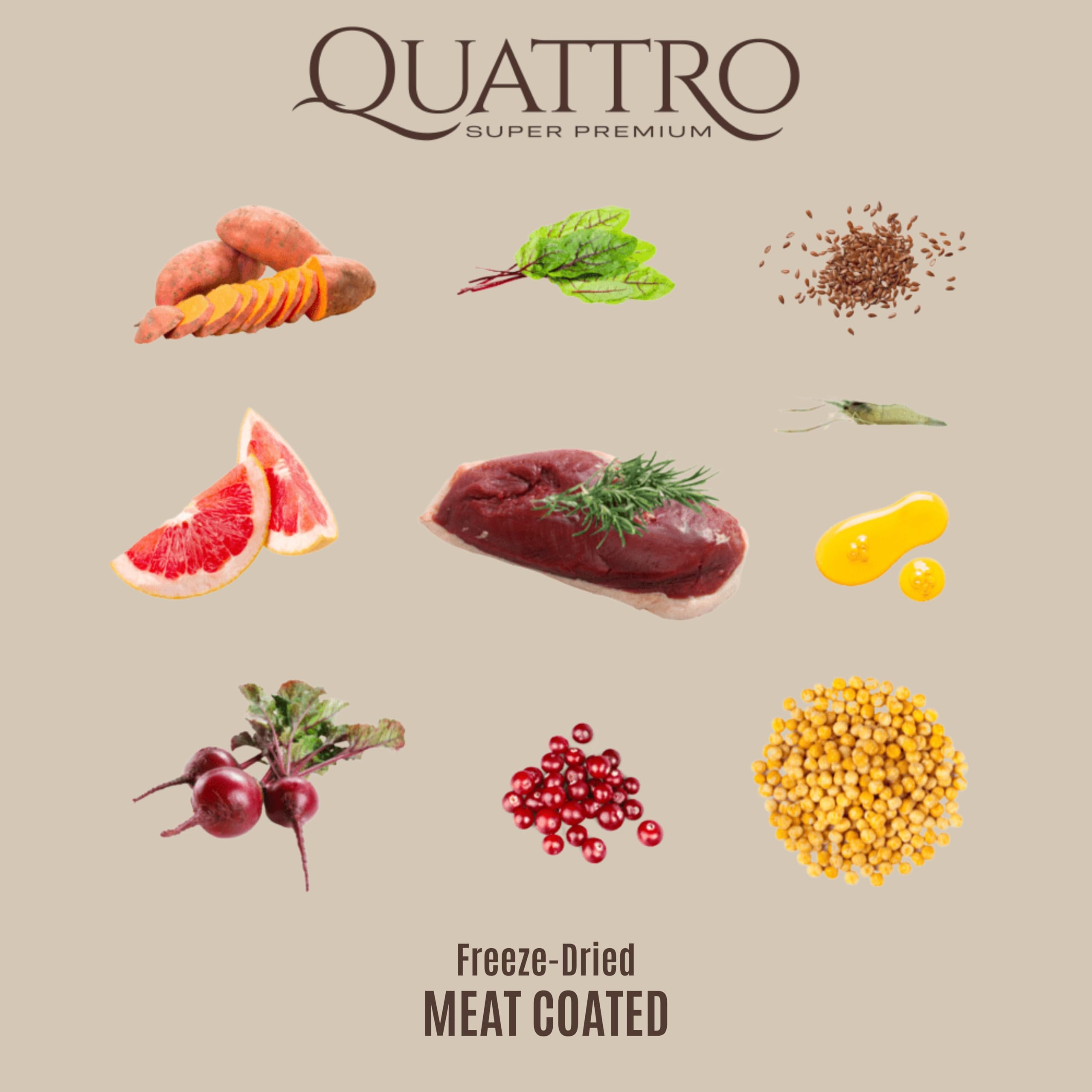 Quattro Ente Kleine Rassen Welpen & Mutter (7 kg)