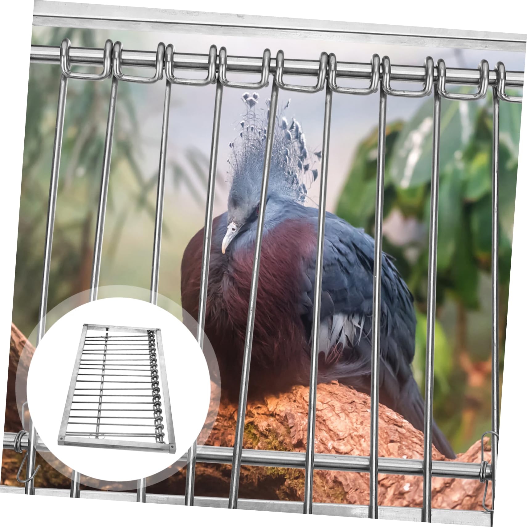 Outanaya Racing Pigeon Cage Door Bird Cage Metal Access Pigeon Entrance Stainless Steel Construction