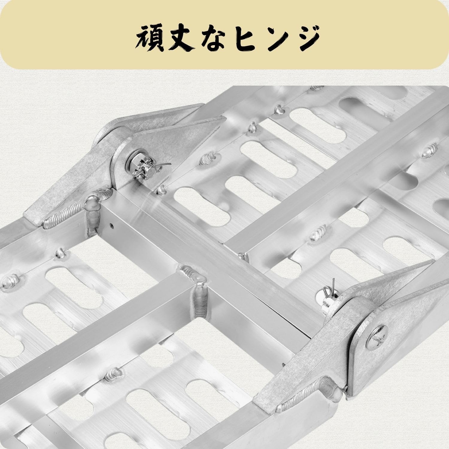 Amazon.co.jp: ラダーレール（バイク用スロープ・アルミブリッジ）2本