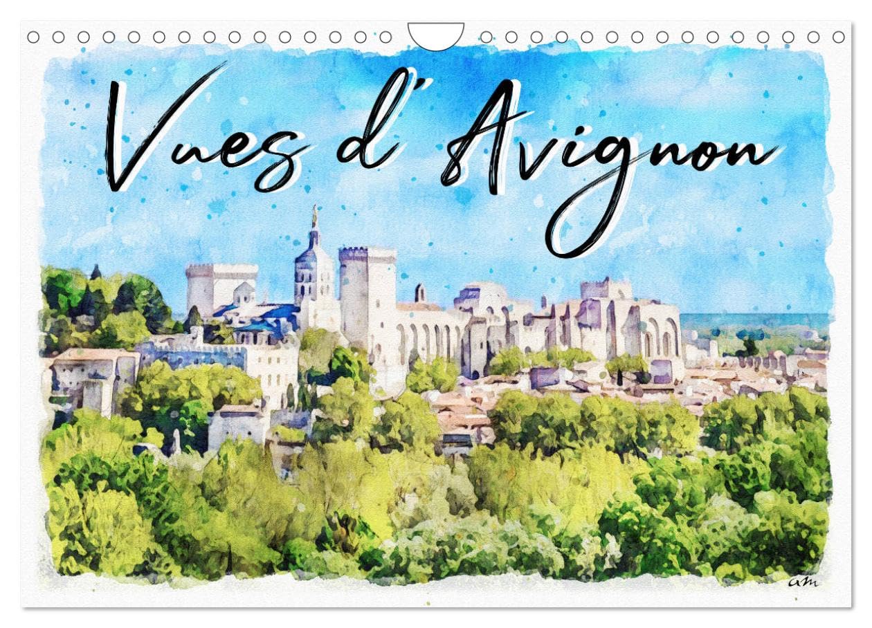 Vues d'Avignon (Calendrier mural 2024 DIN A4 verti: Série de 12 tableaux, créations originales de vues