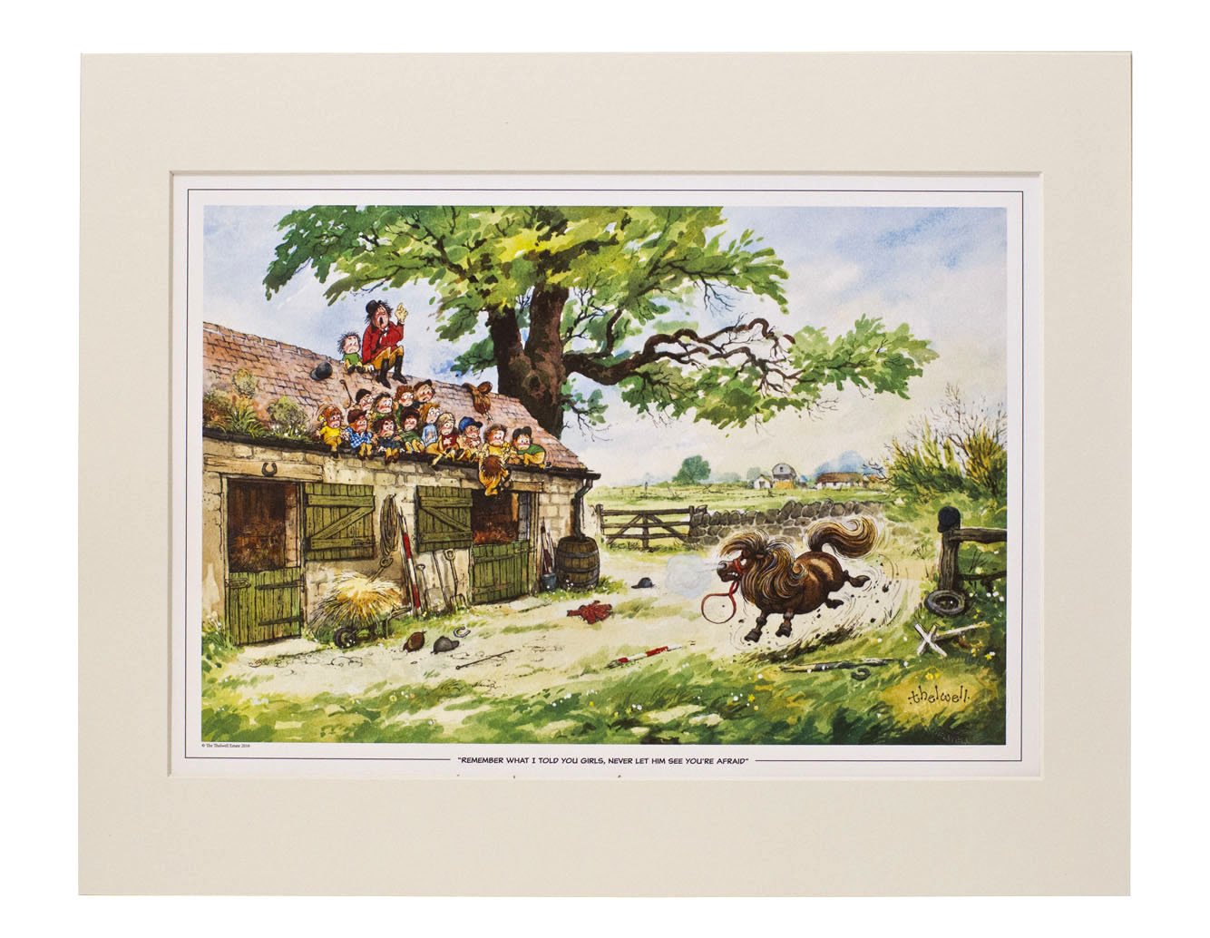 Thelwell Multi-Color Pony Print Mounted Ready For Framing | Collectable Copy From Original Painting | Requires A 40Cm X 50Cm Frame. Horse Riding Enthusiasts.