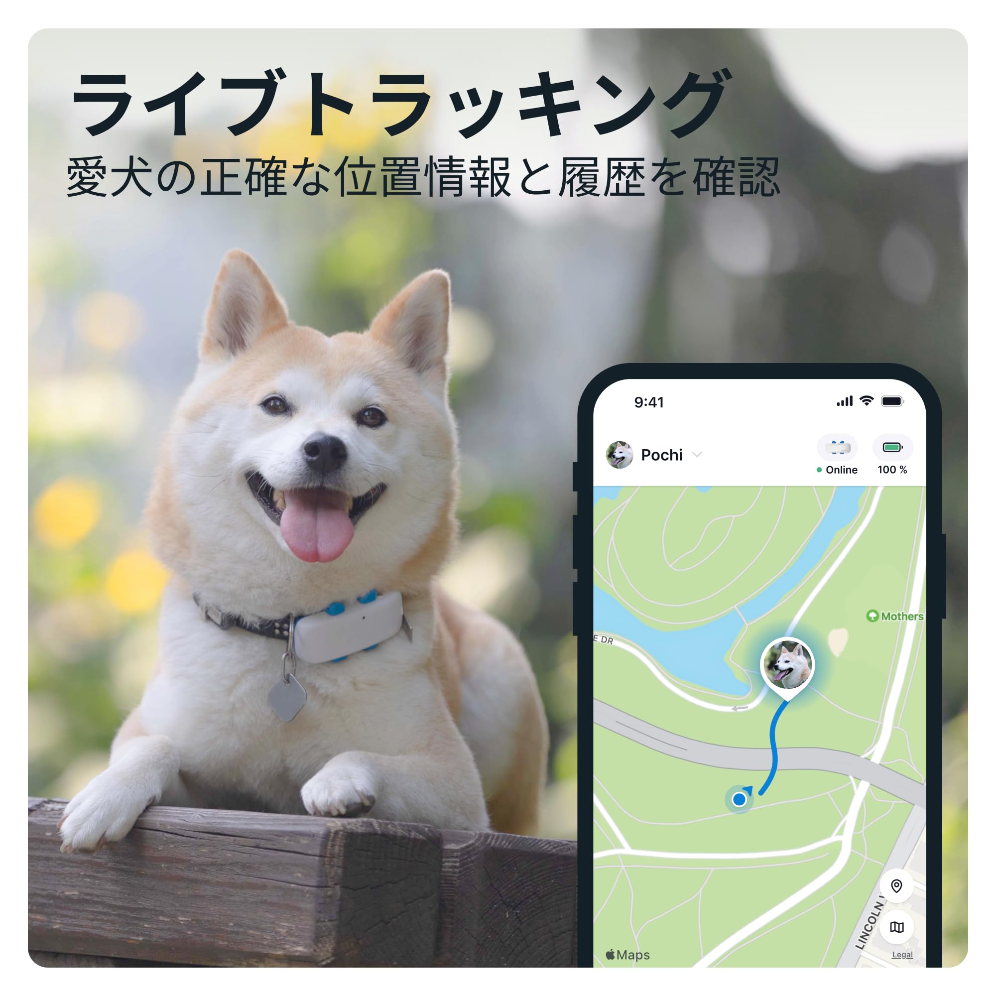 Tractive GPS DOG 4 犬用トラッカー リアルタイム追跡