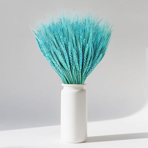 Sukh Tallos de trigo seco azul, 50 tallos de trigo seco natural para rellenos de jarrón para decoración del hogar, flores bohemias, centros de mesa