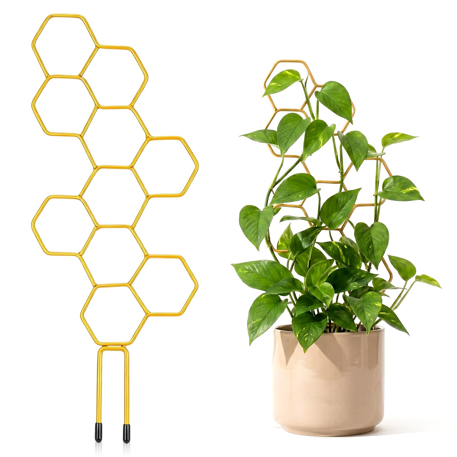 RAHHLIZS 1PCS 13.78 Inch Small Indoor Plant Trellis for Pots, Honeycomb Trellis,Gold Metal Plant Climbing Support Stake for Pothos, Vines, Climbing Houseplants