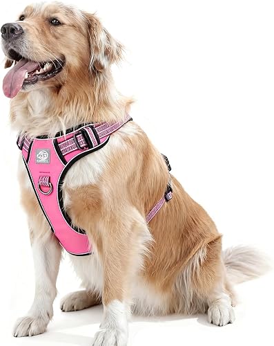 Dog Harness No Pull, 2 Leash Clips, Reflective Mesh Vest with Padded Chest, Adju