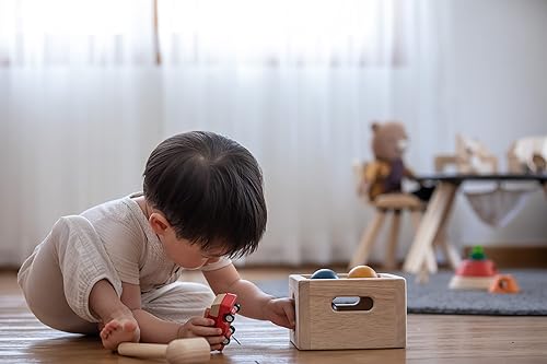 Miniatura 8 de PlanToys Bolas de martillo de madera para golpear y martillar juguete (5396)  Hecho de madera de caucho y pinturas y tintes no tóxicos