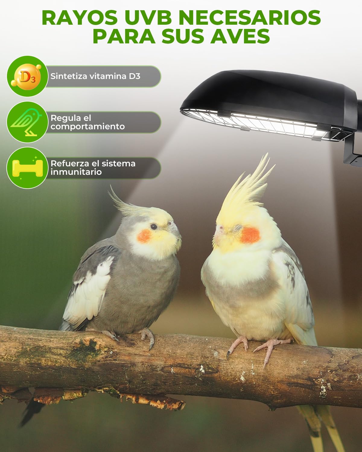 GlowUp UVB 2.4 Lámpara para Pájaros Kit Combinado, Portalámparas E27 con Bombilla UVB 2.4 20W E27 para Aves y Reptiles