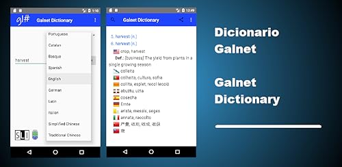 Dicionário Galnet
