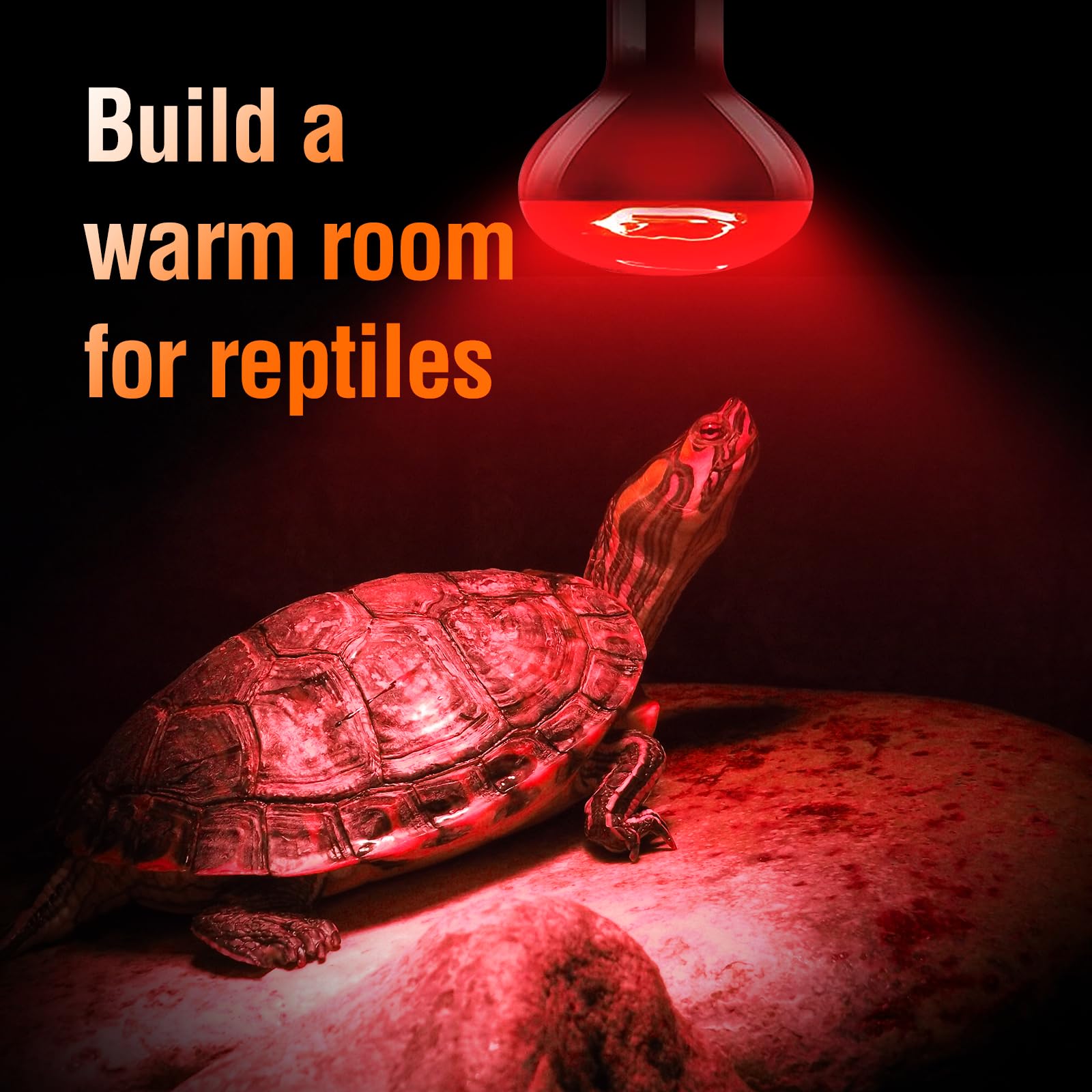 Leoterra 75W Red Infrared Night Heat Lamp Fits 20-40 Gallon Tank (2 Pack)- Thickened Glass 2000+ Hours Long Life for Bearded Dragon,Ball Pythons, Snake, Turtle, E26 110V - image 5