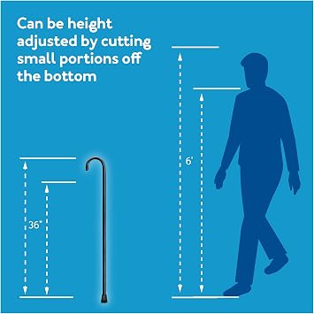 Carex Round Handle Wood Cane - Wooden Walking Cane With Rubber Tip - Fashionable, Traditional Style Walking Stick for Men and Women, 36 Inch Height, 1 Inch Diameter, Black