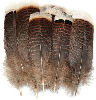 LUORNG Natural Turkey Feather 20PCS 15-20cm/5.9-7.87inch Precious Turkey Tail Feathers for DIY Costume Headress