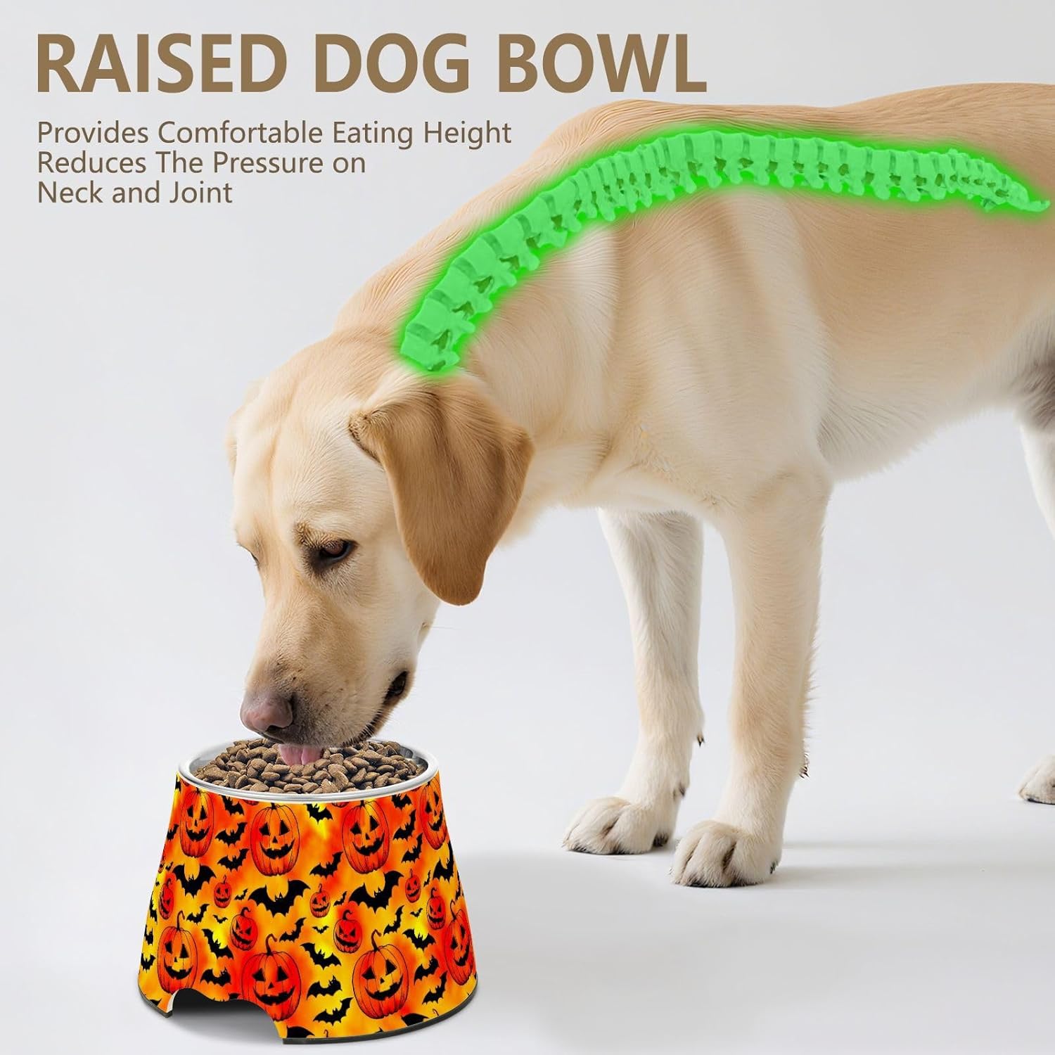 Pumpkin Bats Halloween Pet Bowl Elevated Dog Bowls with Stainless Steel, Raised Dog Bowl for Comfortable Feeding and Easy Cleaning, for Pets.23301649